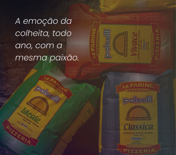 Farinhas Polselli